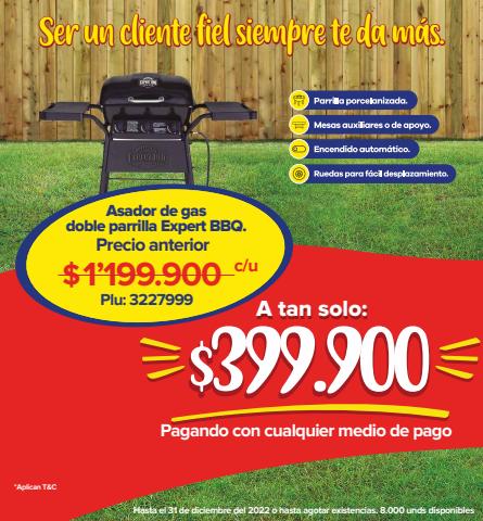 Catálogo Super Inter en Pereira | Autoliquidable asador | 12/11/2022 - 31/12/2022