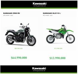 Catálogo Kawasaki ( Más de un mes)