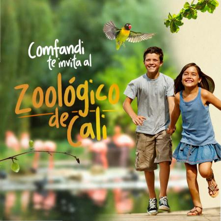 Catálogo Comfandi en Palmira | Tarifas de Entrada al Zoo | 2/4/2022 - 31/7/2022